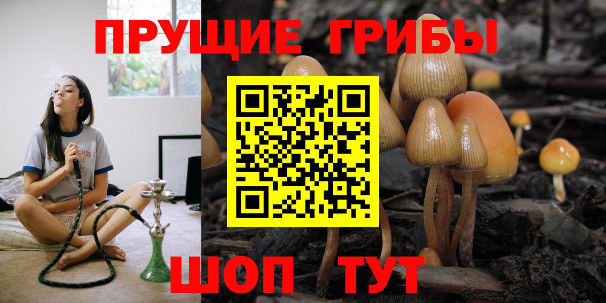 Алушта  Галлюциногенные грибы Cubensis  Вход с VPN 